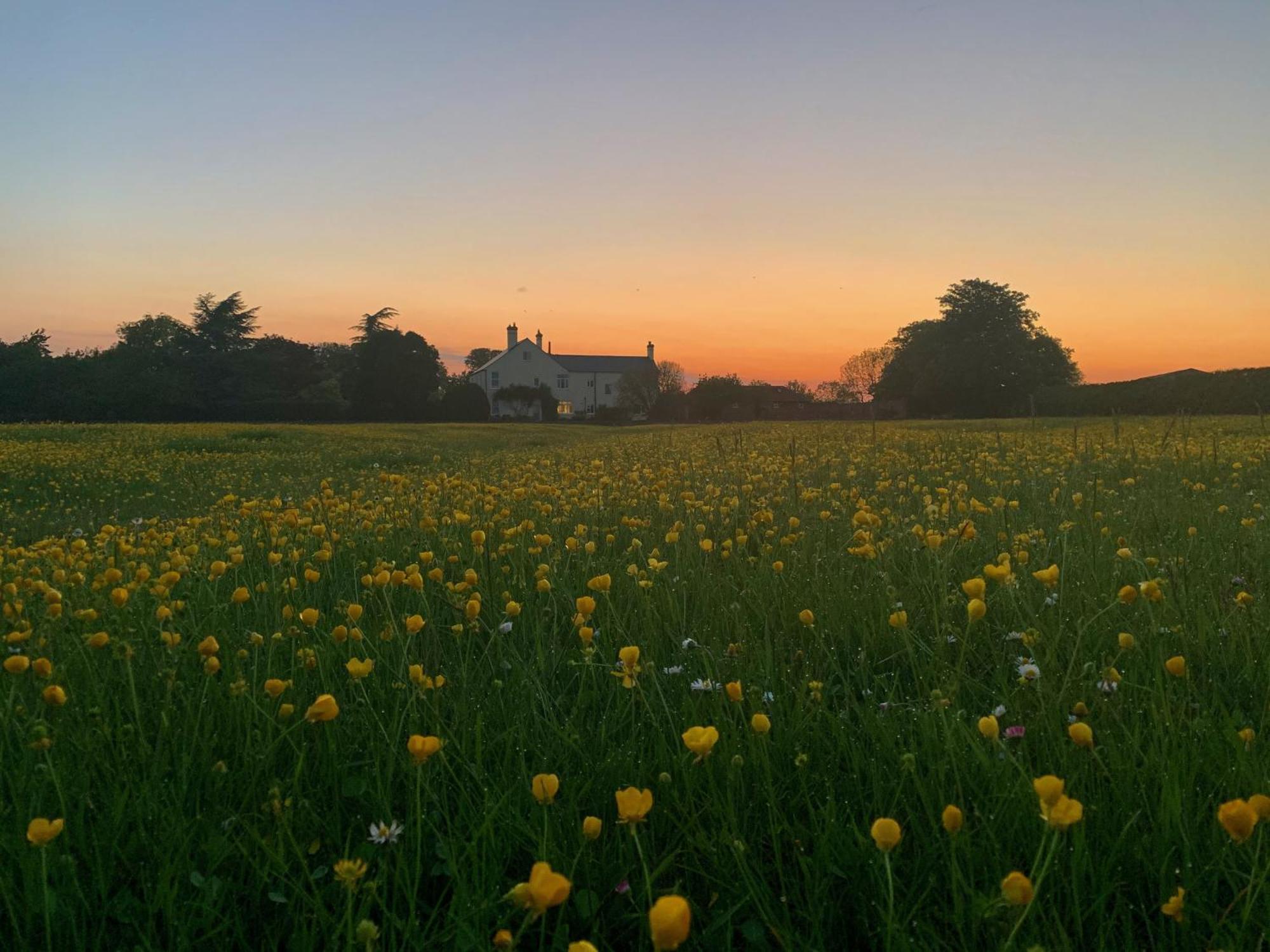 The Chestnuts Country House Boutique B&B Kilvington Bagian luar foto